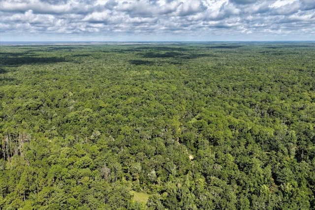 0000 SW County Road 347, Chiefland, FL 32626 - photo 25