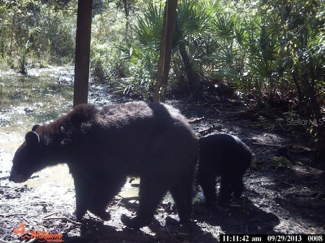 0000 SW County Road 347, Chiefland, FL 32626 - photo 28