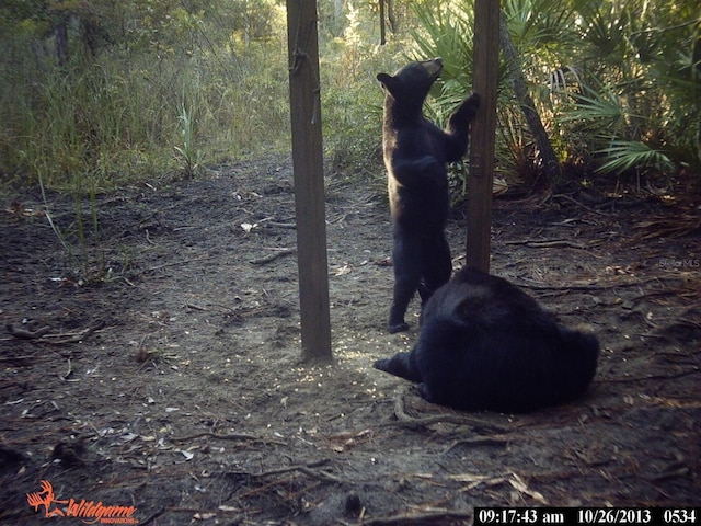 0000 SW County Road 347, Chiefland, FL 32626 - photo 29