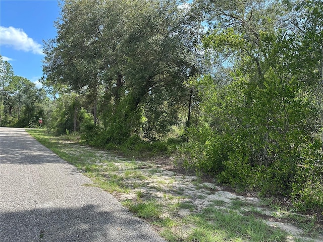 SE 133rd Ave, Dunnellon, FL 34431 - photo 3