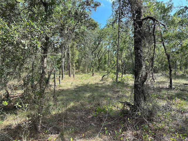 SE 133rd Ave, Dunnellon, FL 34431 - photo 5