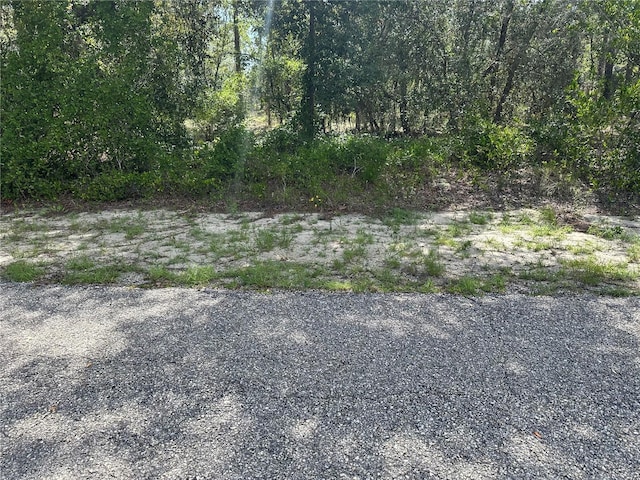 SE 133rd Ave, Dunnellon, FL 34431 - photo 1