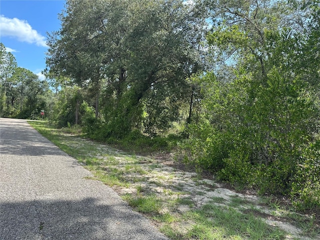 SE 133rd Ave, Dunnellon, FL 34431 - photo 7