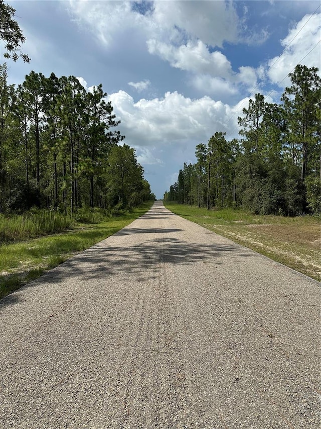 SE 133rd Ave, Dunnellon, FL 34431 - photo 4