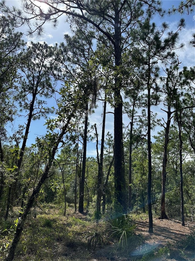 SE 133rd Ave, Dunnellon, FL 34431 - photo 8