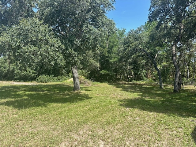 3088 SW Bonable Dr, Dunnellon, FL 34431 - photo 20