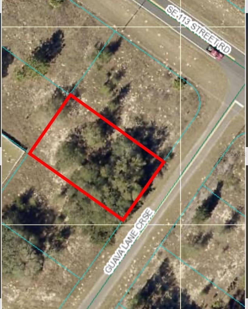 Guava Ln, Cross, Ocklawaha, FL 32179 - photo 1