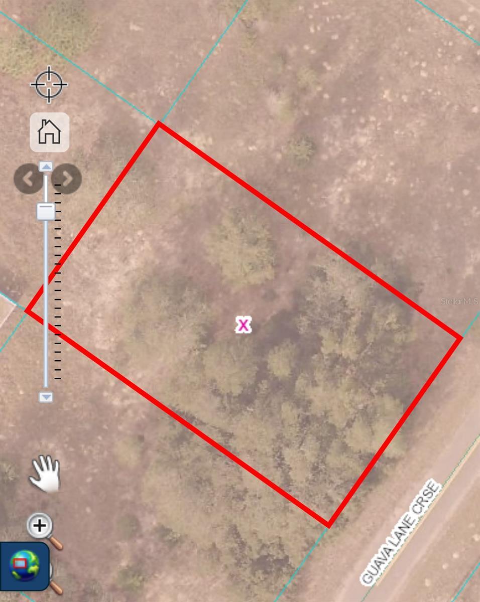 Guava Ln, Cross, Ocklawaha, FL 32179 - photo 2