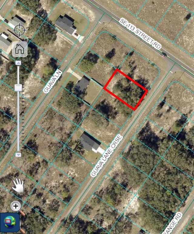 Guava Ln, Cross, Ocklawaha, FL 32179 - photo 3