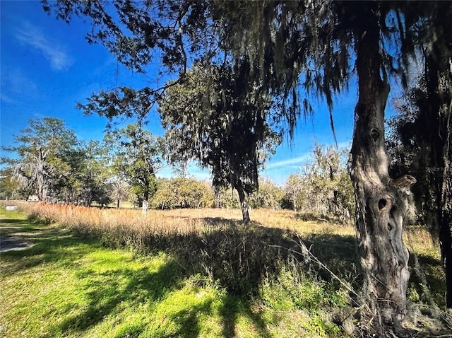 SW 61 Lane Rd, Ocala, FL 34471 - photo 1