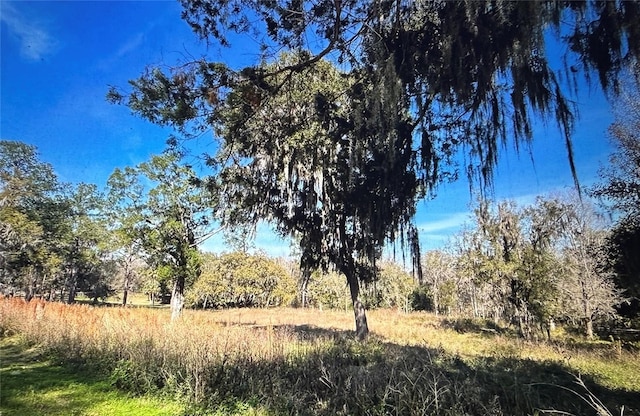 SW 61 Lane Rd, Ocala, FL 34471 - photo 2