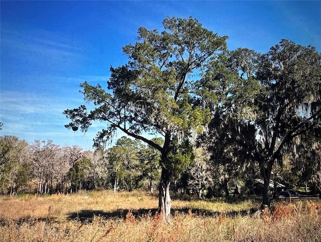 SW 61 Lane Rd, Ocala, FL 34471 - photo 3