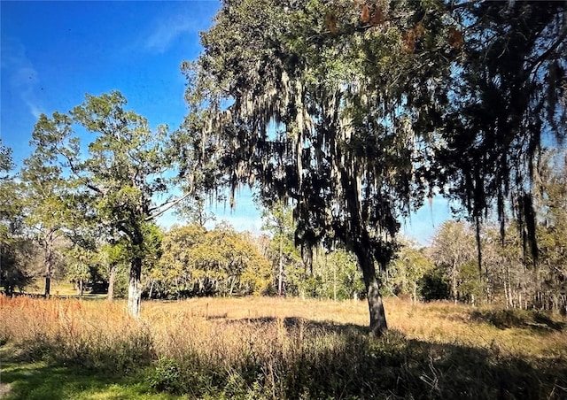 SW 61 Lane Rd, Ocala, FL 34471 - photo 4