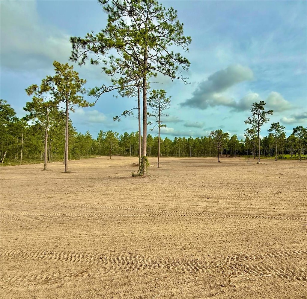 TBD SE 60th St, Morriston, FL 32668 - photo 1