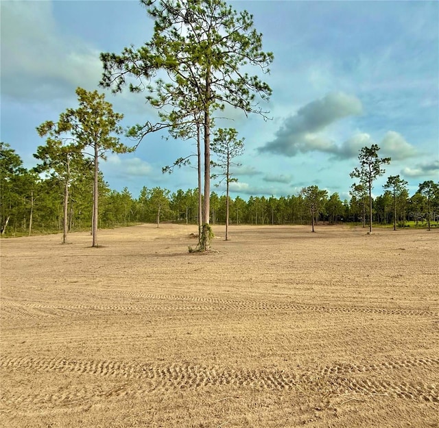 TBD SE 60th St, Morriston, FL 32668 - photo 1