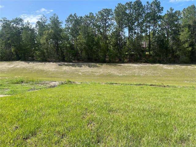 6268 SW 133rd Street Rd, Ocala, FL 34473 - photo 6