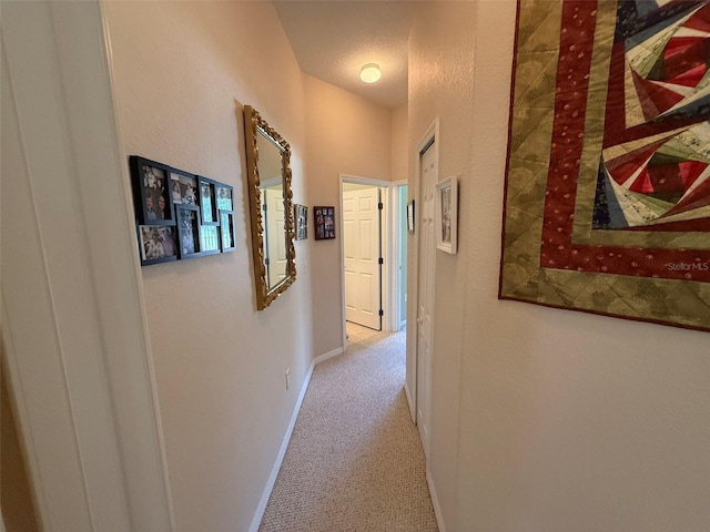 10777 SW 71st Cir, Ocala, FL 34476 - photo 39