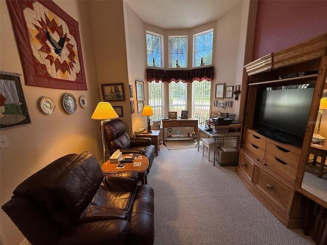 10777 SW 71st Cir, Ocala, FL 34476 - photo 35