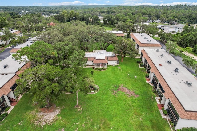 2400 Forest Dr Unit 208, Inverness, FL 34453 - photo 25