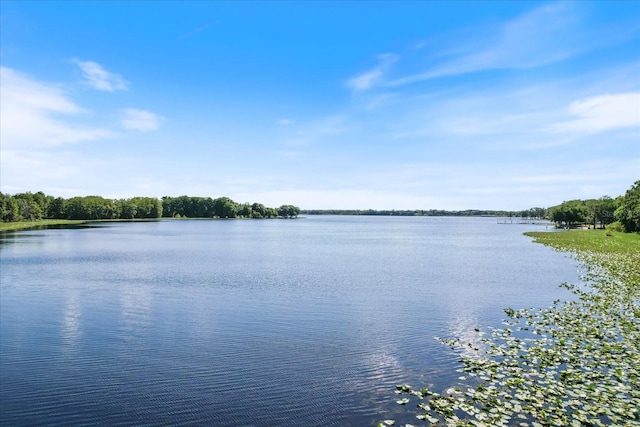 2400 Forest Dr Unit 208, Inverness, FL 34453 - photo 43