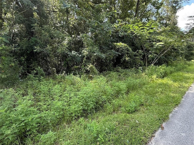 00 NW 56th Ter, Ocala, FL 34482 - photo 7