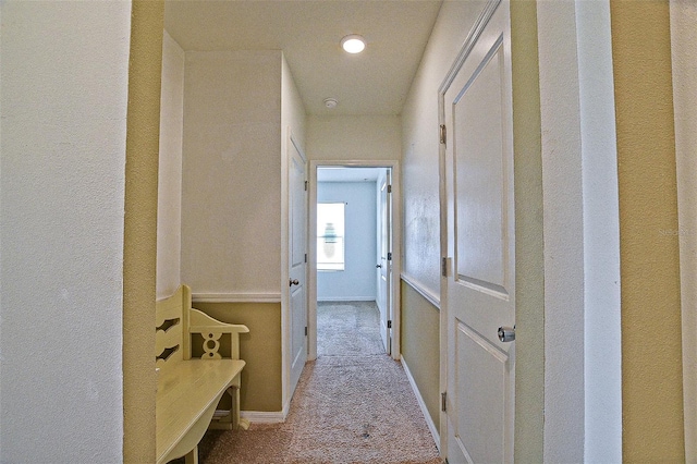 3902 SE 99th St, Belleview, FL 34420 - photo 27
