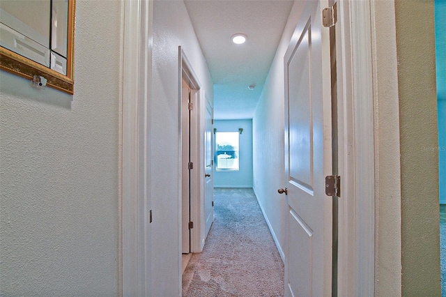 3902 SE 99th St, Belleview, FL 34420 - photo 39