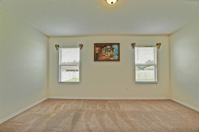 3902 SE 99th St, Belleview, FL 34420 - photo 46