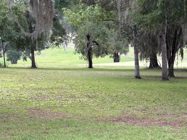 8231 N Upland Dr, Citrus Springs, FL 34434 - photo 31