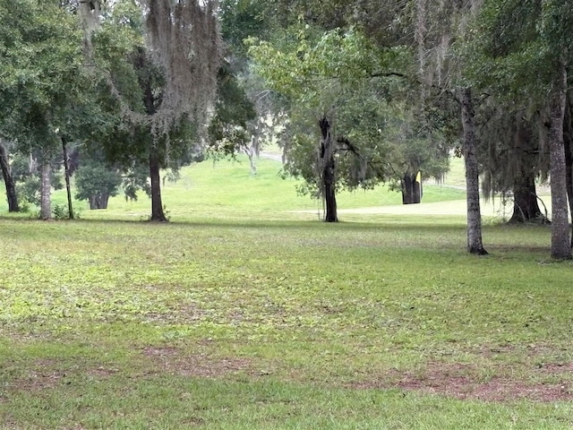 8231 N Upland Dr, Citrus Springs, FL 34434 - photo 32