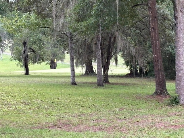 8231 N Upland Dr, Citrus Springs, FL 34434 - photo 33
