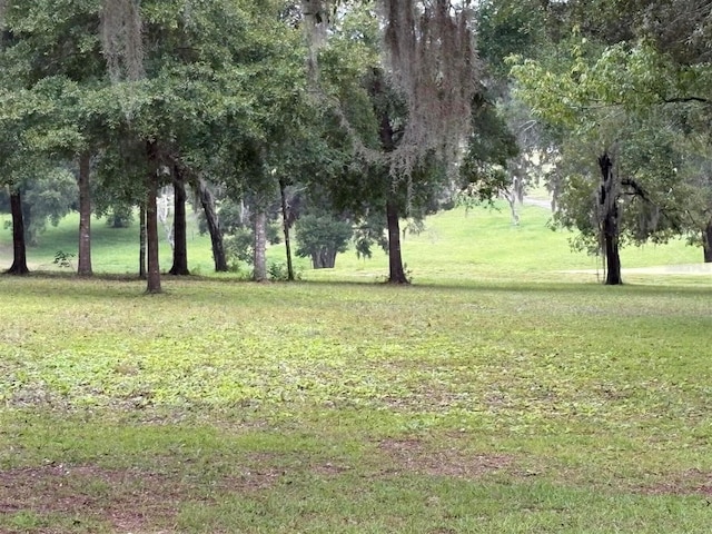 8231 N Upland Dr, Citrus Springs, FL 34434 - photo 34