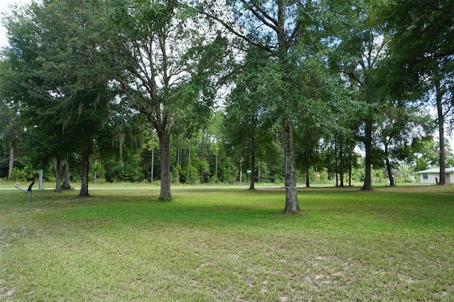8231 N Upland Dr, Citrus Springs, FL 34434 - photo 37