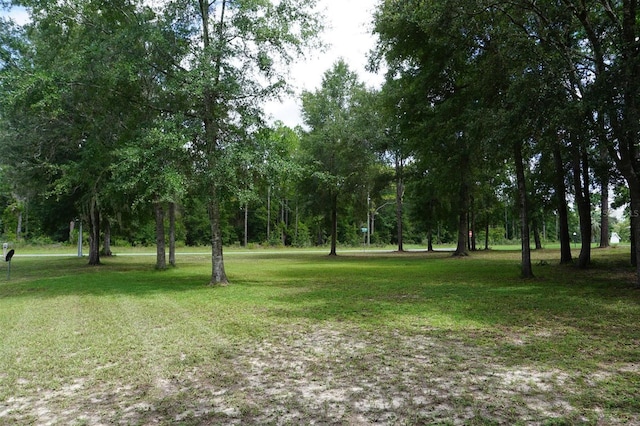 8231 N Upland Dr, Citrus Springs, FL 34434 - photo 38