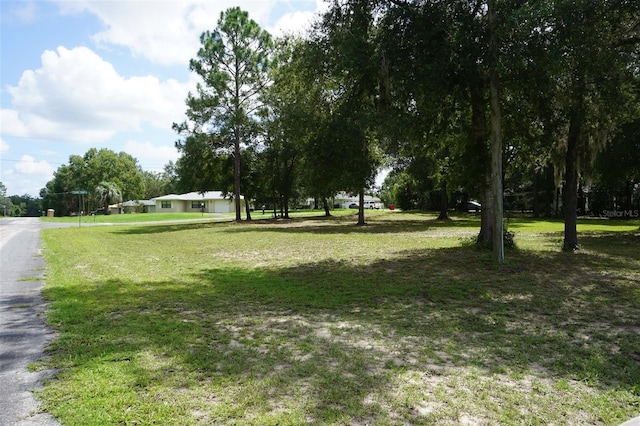8231 N Upland Dr, Citrus Springs, FL 34434 - photo 41