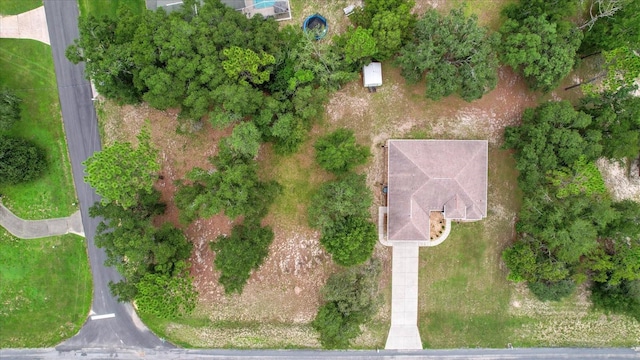 8231 N Upland Dr, Citrus Springs, FL 34434 - photo 42
