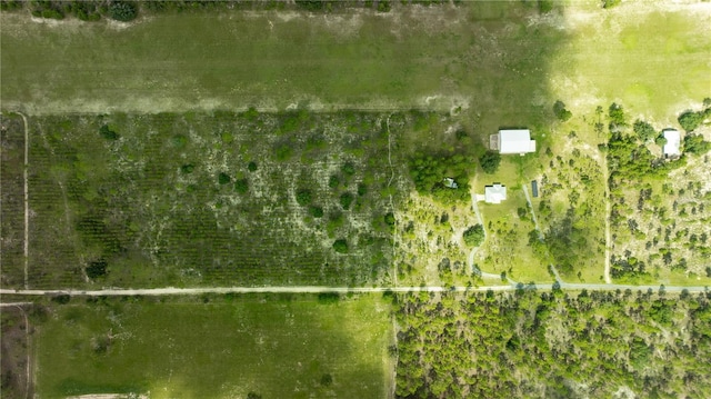 6490 SE 138th Ave, Morriston, FL 32668 - photo 3