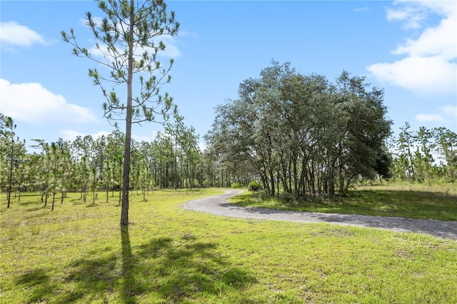 6490 SE 138th Ave, Morriston, FL 32668 - photo 4
