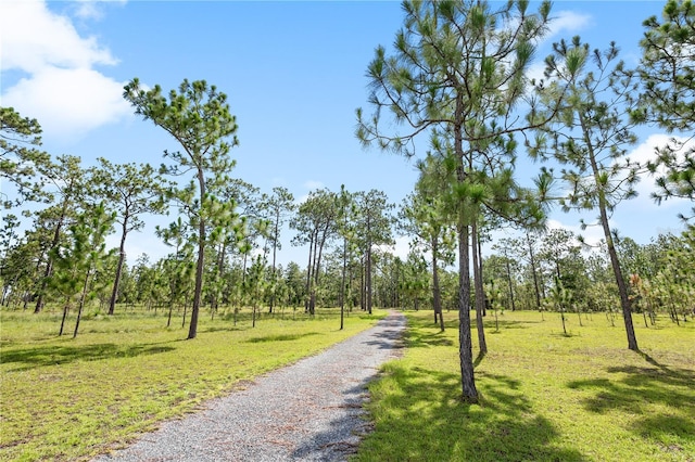6490 SE 138th Ave, Morriston, FL 32668 - photo 15