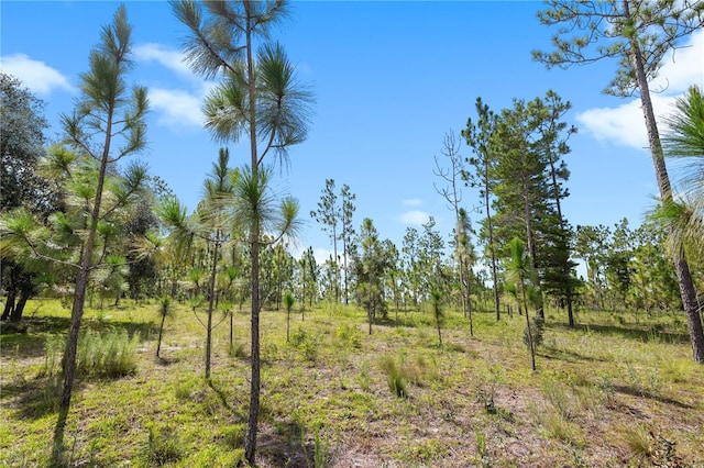 6490 SE 138th Ave, Morriston, FL 32668 - photo 18
