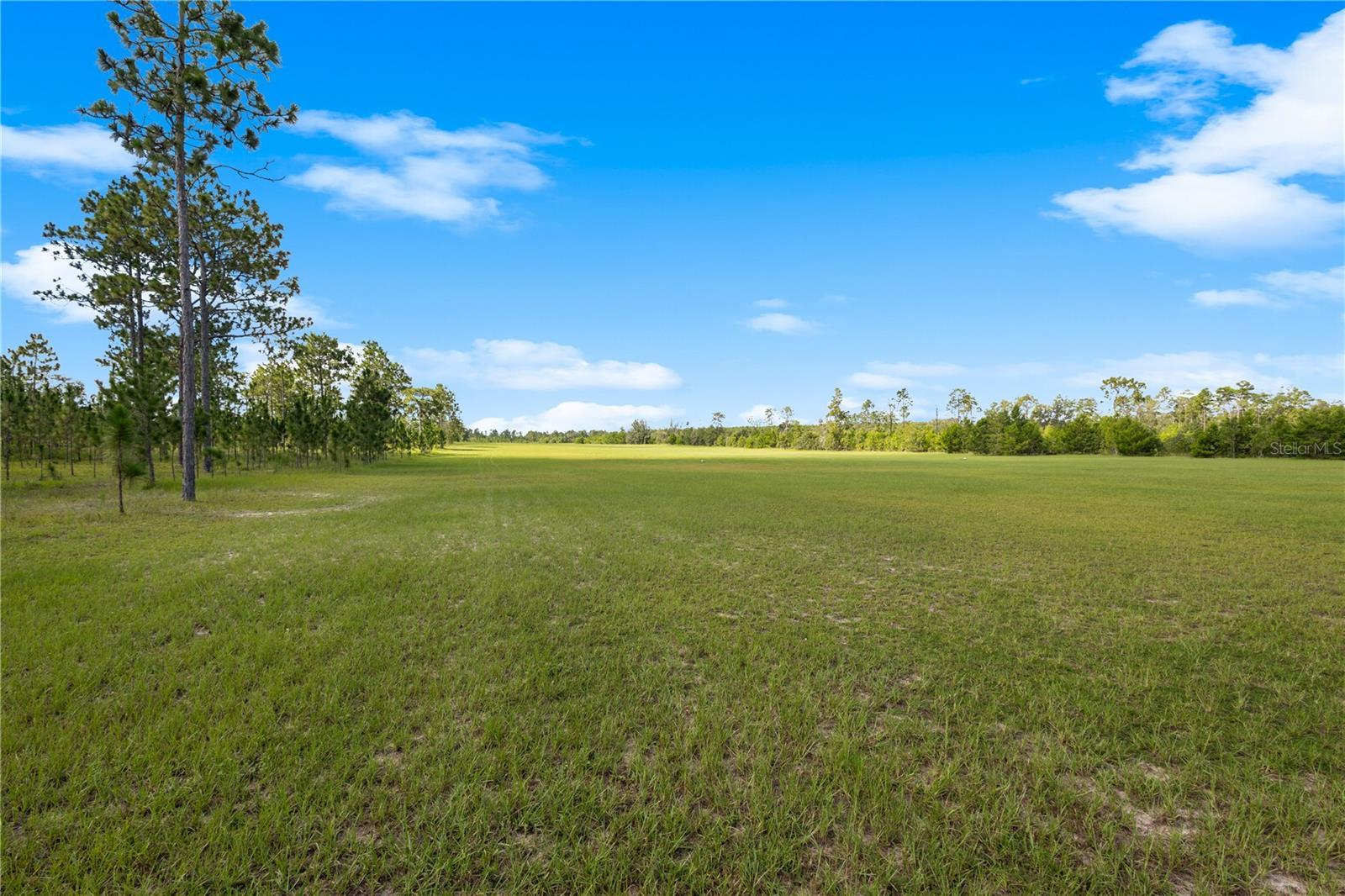 6490 SE 138th Ave, Morriston, FL 32668 - photo 53