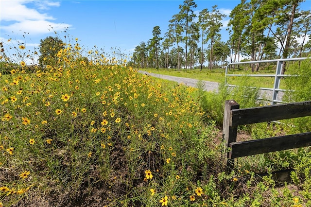 6490 SE 138th Ave, Morriston, FL 32668 - photo 56