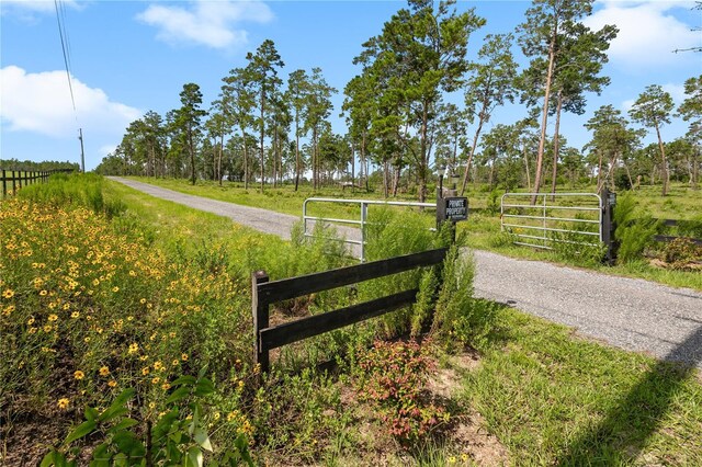 6490 SE 138th Ave, Morriston, FL 32668 - photo 57