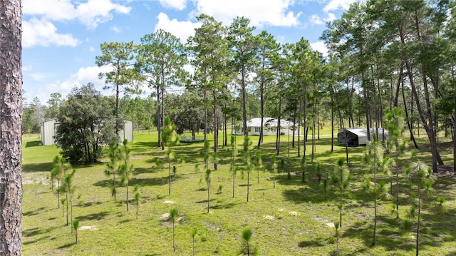 6490 SE 138th Ave, Morriston, FL 32668 - photo 75