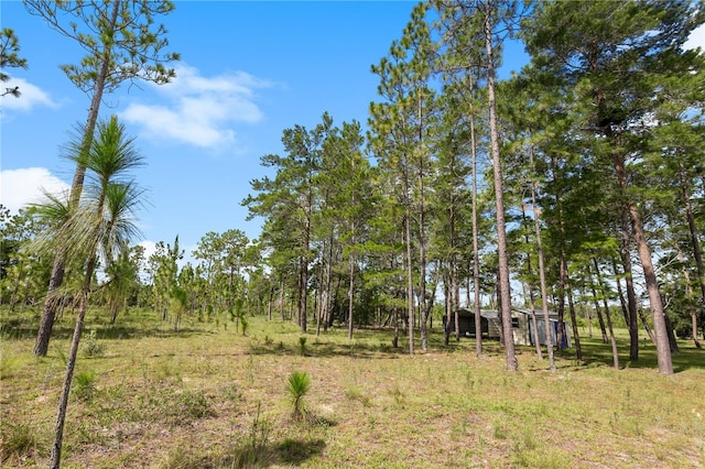 6490 SE 138th Ave, Morriston, FL 32668 - photo 54