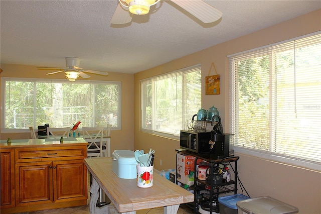 3323 E May St, Inverness, FL 34453 - photo 6