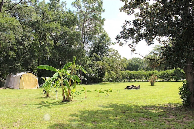3323 E May St, Inverness, FL 34453 - photo 21