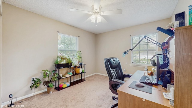 14210 SW 34th Terrace Rd, Ocala, FL 34473 - photo 12