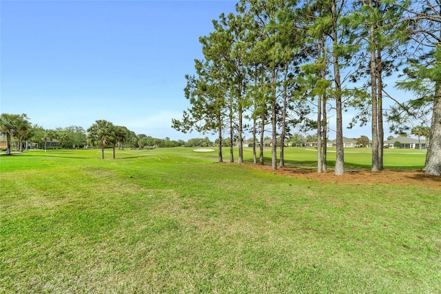 7335 SW 97th Terrace Rd, Ocala, FL 34481 - photo 56