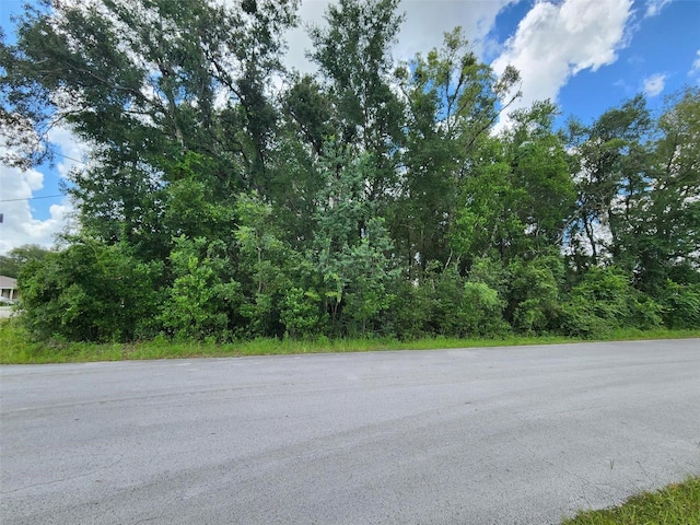 Water Trak, Ocala, FL 34472 - photo 3